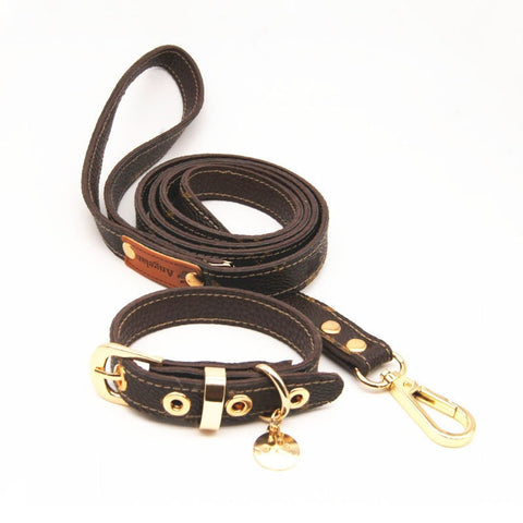 Leather Necklace Leash Set for Small Dogs