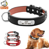 Personalized Durable Dog Collar