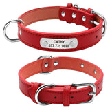 Personalized Durable Dog Collar