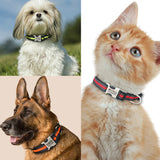 Reflective Personalized Engraved Dog Collar