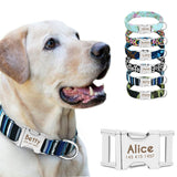 Personalized Nylon Dog Collar