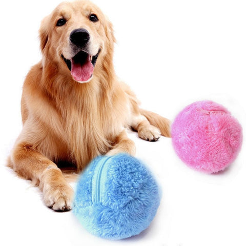 Pet Electric Toy Ball 5pcs/Set