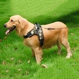 Breathable Pet Matched Leashes and Adjustable for Dogs Cat